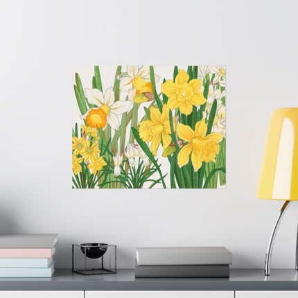 Daffodil by Tanigami Kônan Premium Matte horizontal posters