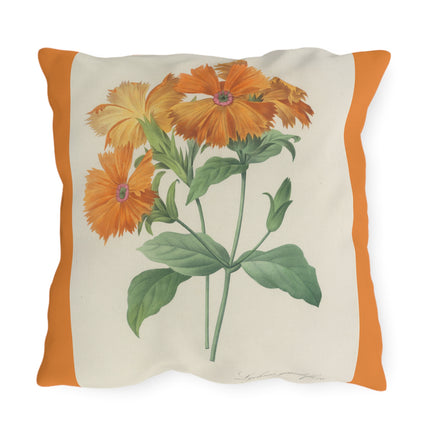 Choix des plus belles fleurs, Plate 044 by Pierre Joseph Redouté Outdoor Pillows