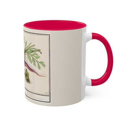 Carrot, Daucus Carota and Red currant, Ribes rubrum by Anselmus Boëtius de Boodt Colorful Mugs, 11oz