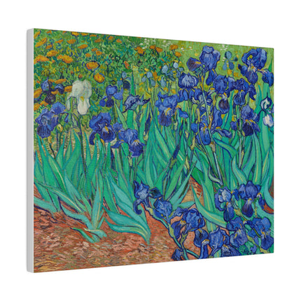 Irises by Vincent Van Gogh Matte Canvas, Stretched, 0.75"