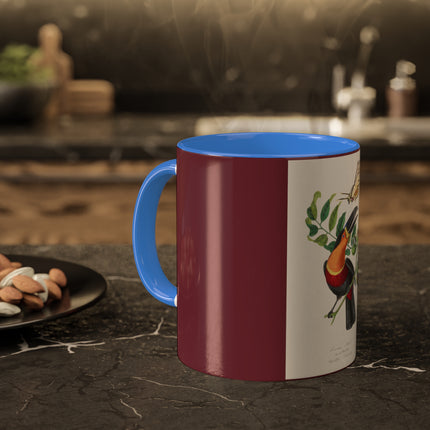 Channel Billed Toucan by Paul Gervais Colorful Mugs, 11oz