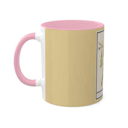 Artichoke, Broad Beans, and Lantern Plant by Anselmus Boëtius de Boodt Colorful Mugs, 11oz
