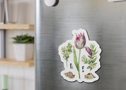 Tulip, Branches of Myrtle, and Shells by Maria Sibylla Merian Die-Cut Magnets (5 Sizes)