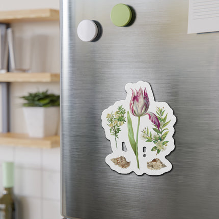 Tulip, Branches of Myrtle, and Shells by Maria Sibylla Merian Die-Cut Magnets (5 Sizes)