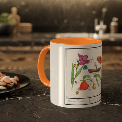 Natural History Ensemble, No. 17 by Anselmus Boëtius de Boodt Colorful Mugs, 11oz