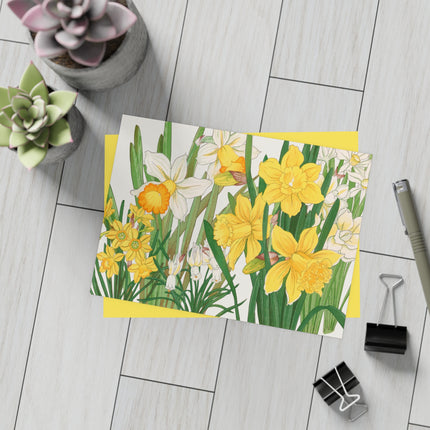 Daffodil by Tanigami Kônan Postcards (envelopes included) - Bundles of 10, 30, 50 Pieces