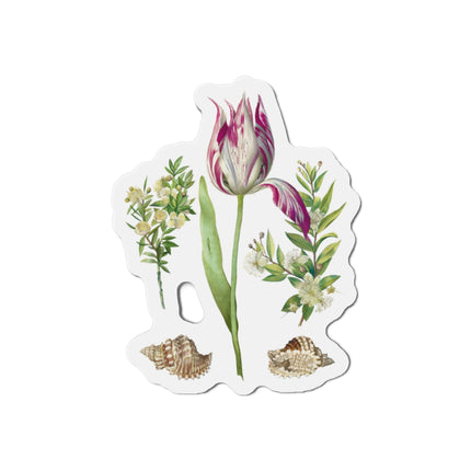 Tulip, Branches of Myrtle, and Shells by Maria Sibylla Merian Die-Cut Magnets (5 Sizes)