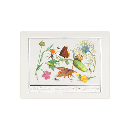 Natural History Ensemble, No. 3 Ceramic Tile