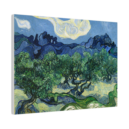 Olive Trees by Vincent Van Gogh Matte Canvas, Stretched, 0.75"