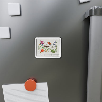 Natural History Ensemble, No. 17 Die-Cut Magnets (5 Sizes)
