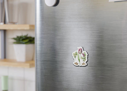Tulip, Branches of Myrtle, and Shells by Maria Sibylla Merian Die-Cut Magnets (5 Sizes)