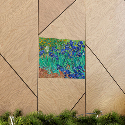 Irises by Vincent Van Gogh Matte Horizontal Posters