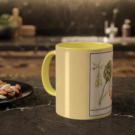 Artichoke, Broad Beans, and Lantern Plant by Anselmus Boëtius de Boodt Colorful Mugs, 11oz