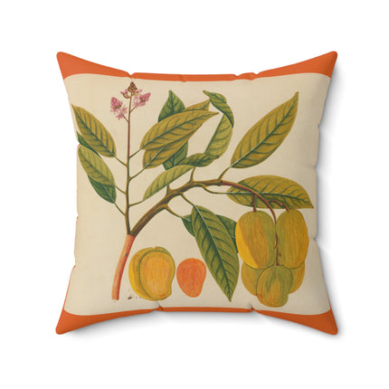 Album of watercolors of Asian fruits and flowers Pl.21 by Anonymous Spun Polyester Square Pillow