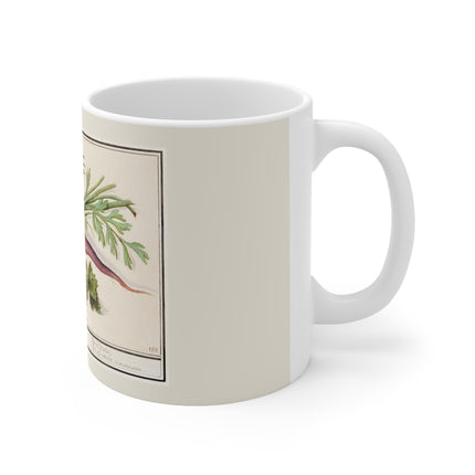 Carrot, Daucus carota and red currant, Ribes rubrum by Anselmus Boëtius de Boodt Ceramic Mug 11oz