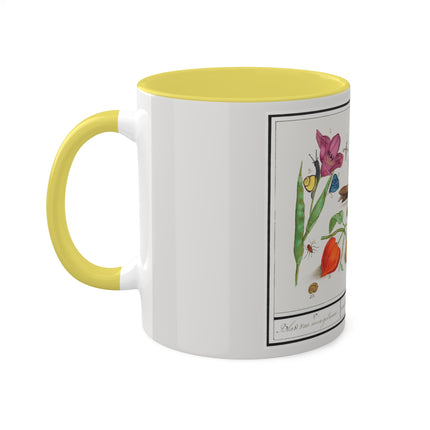 Natural History Ensemble, No. 17 by Anselmus Boëtius de Boodt Colorful Mugs, 11oz