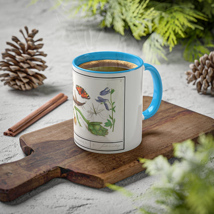 Natural History Ensemble, No. 17 by Anselmus Boëtius de Boodt Colorful Mugs, 11oz