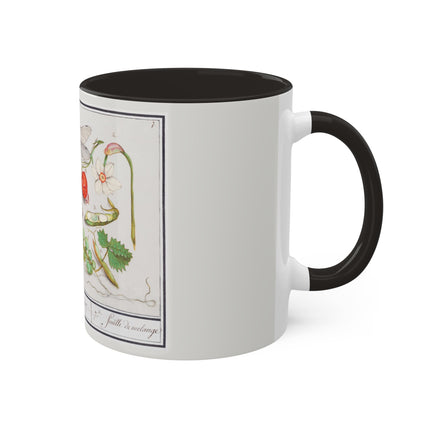 Natural History Ensemble, No. 7 by Anselmus Boëtius de Boodt Colorful Mugs, 11oz