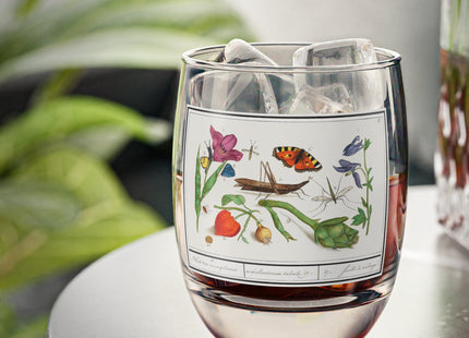 Natural History Ensemble, No. 17 by Anselmus Boëtius de Boodt Whiskey Glass