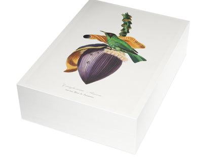 Treecreeper by Paul Gervais Postcards (envelopes included) - Bundles of 10, 30, 50 Pieces