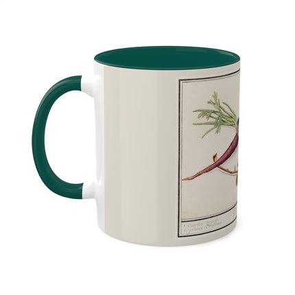 Carrot, Daucus Carota and Red currant, Ribes rubrum by Anselmus Boëtius de Boodt Colorful Mugs, 11oz