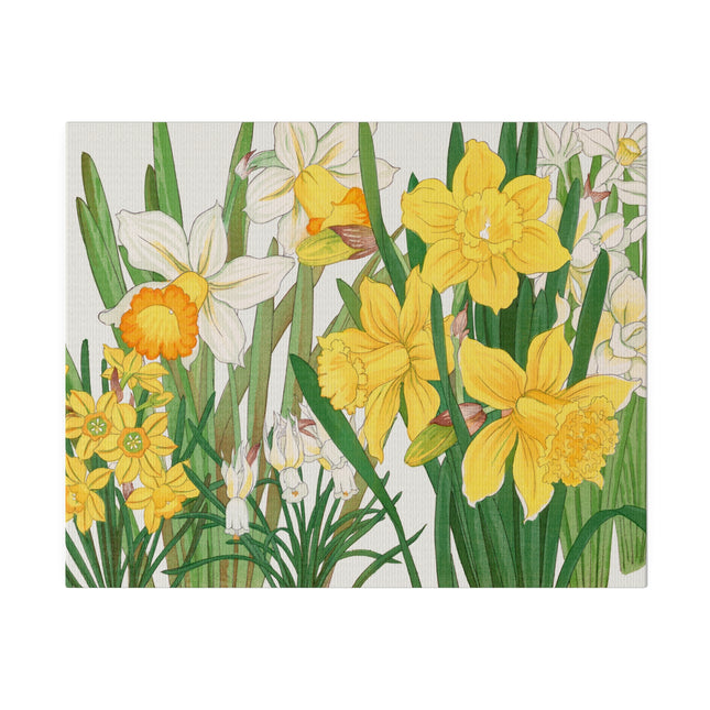 Golden Daffodils by Tanigami Kônan – Japanese Botanical Grace