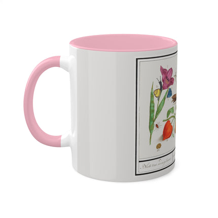 Natural History Ensemble, No. 17 by Anselmus Boëtius de Boodt Colorful Mugs, 11oz