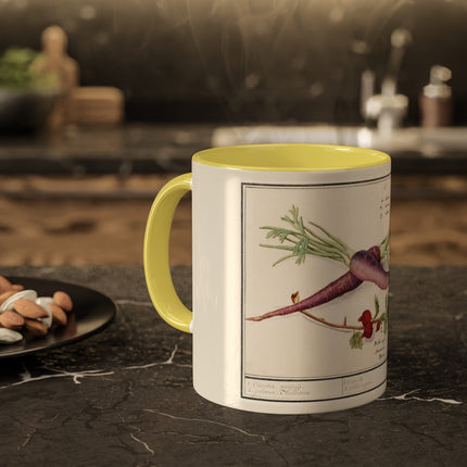 Carrot, Daucus Carota and Red currant, Ribes rubrum by Anselmus Boëtius de Boodt Colorful Mugs, 11oz