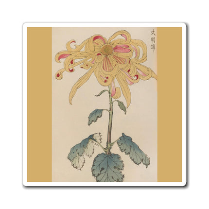 Keika Hyakugiku, Pl.11 by Keika Hasegawa Magnets (3 Sizes)