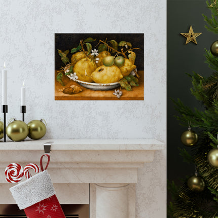 Still Life with Bowl of Citrons by Giovanna Garzoni Matte Horizontal Posters