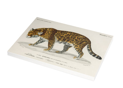 Jaguar by Charles Dessalines D'Orbigny Postcards (envelopes included) - Bundles of 10, 30, 50 Pieces
