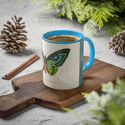 Green Birdwing by Charles Dessalines D' Orbigny Colorful Mugs, 11oz