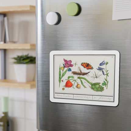 Natural History Ensemble, No. 17 Die-Cut Magnets (5 Sizes)