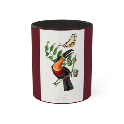 Channel Billed Toucan by Paul Gervais Colorful Mugs, 11oz