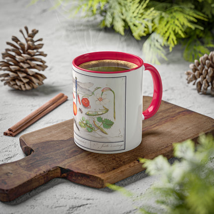 Natural History Ensemble, No. 7 by Anselmus Boëtius de Boodt Colorful Mugs, 11oz