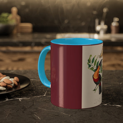 Channel Billed Toucan by Paul Gervais Colorful Mugs, 11oz