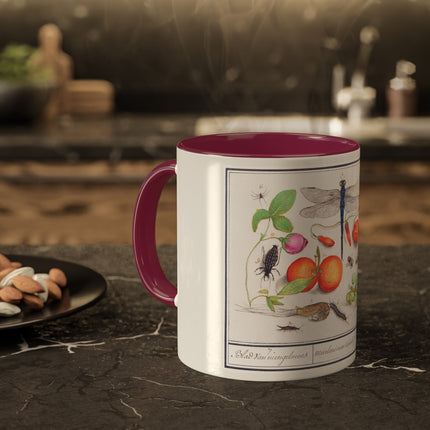 Natural History Ensemble, No. 7 by Anselmus Boëtius de Boodt Colorful Mugs, 11oz