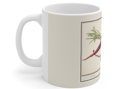 Carrot, Daucus carota and red currant, Ribes rubrum by Anselmus Boëtius de Boodt Ceramic Mug 11oz