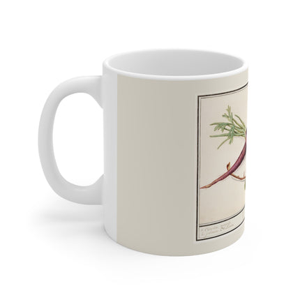 Carrot, Daucus carota and red currant, Ribes rubrum by Anselmus Boëtius de Boodt Ceramic Mug 11oz