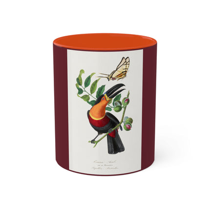 Channel Billed Toucan by Paul Gervais Colorful Mugs, 11oz