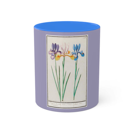 Iris, Iris sibirica by Anselmus Boëtius de Boodt Colorful Mugs, 11oz