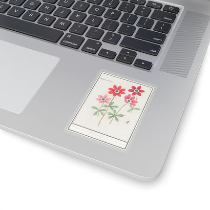 Anemoon, Anemone by Anselmus Boëtius de Boodt Kiss-Cut Stickers (4 Sizes)