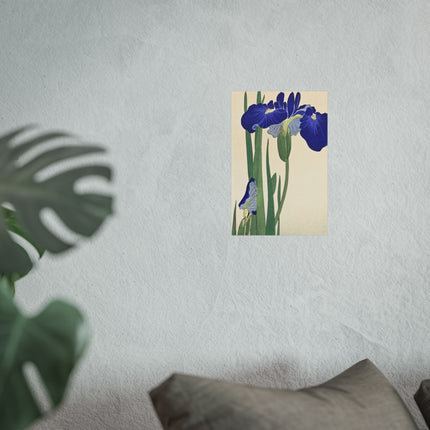 Blue Irises by Ohara Koson Fine Art Posters