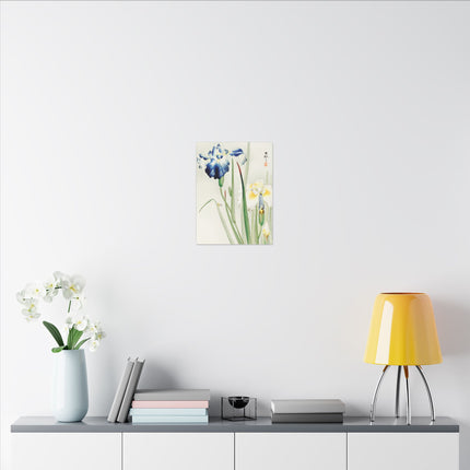 Irises in Bloom by Ohara Koson – Japanese Elegance
