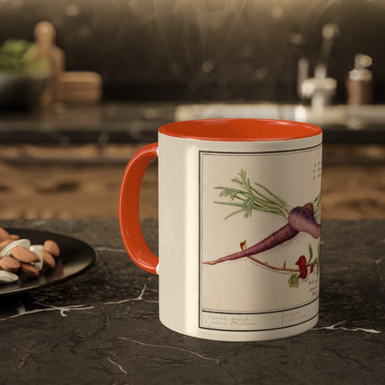 Carrot, Daucus Carota and Red currant, Ribes rubrum by Anselmus Boëtius de Boodt Colorful Mugs, 11oz