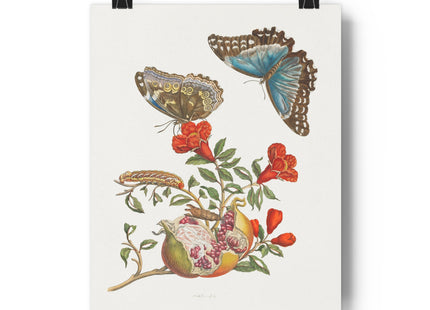 Blue Butterflies and Pomegranate Giclée Art Print