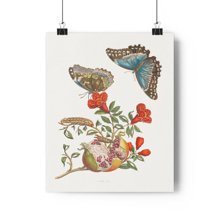 Blue Butterflies and Pomegranate Giclée Art Print