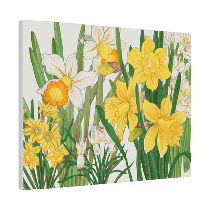 Golden Daffodils by Tanigami Kônan – Japanese Botanical Grace