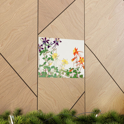 Aquilegia Flower by Tanigami Kônan Premium Matte horizontal posters