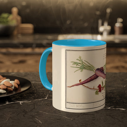 Carrot, Daucus Carota and Red currant, Ribes rubrum by Anselmus Boëtius de Boodt Colorful Mugs, 11oz